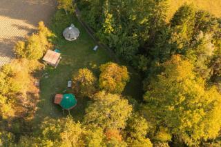 Cabane Du Renard - 9