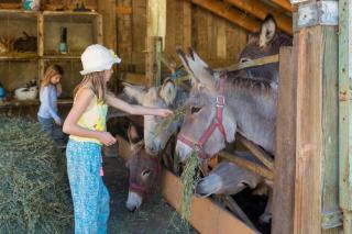 Cabane Du Renard - 6