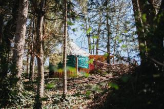 Yourte Dans La Forêt - 7