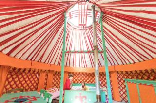 Yourte Dans La Forêt -  - 0