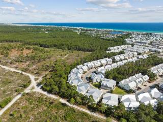 Sand Dollar Dream - Inlet Beach - 6