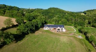 Chambre Forêt du Domaine de la Belle Verte - 6