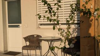 שלווה בנוף העמק - 2