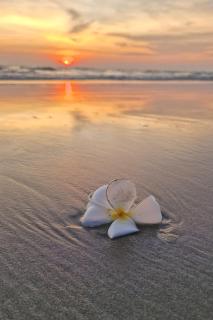 Modern Condo Long Stay - 4