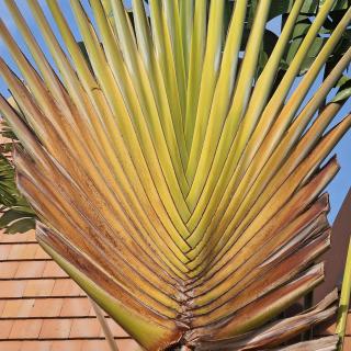 Modern Condo Long Stay - 3