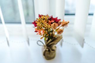 4-BR Bungalow 2 Baths Driveway Short & Long Stays - 6