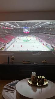 Cozy apartment in Zurich Seefeld - 1