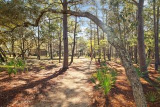 Walk on the Ocean - 2