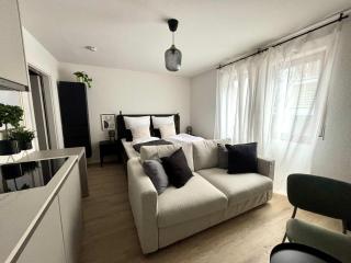 Beautiful Renovated Apartment in Lorrach - 4