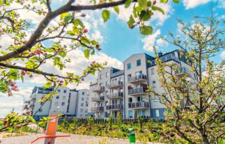 Osiedle złota reneta - 4