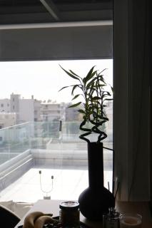 Glyfadas's Rooftop Blyss - 8