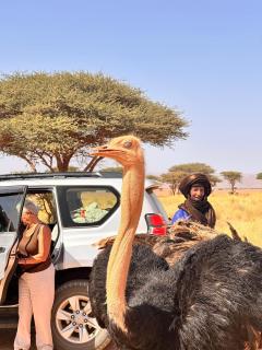 Bivouac Desert Du Maroc - 3