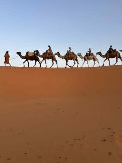 Bivouac Desert Du Maroc - 1