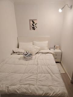 코튼스테이 Cottonstay 205 - 5