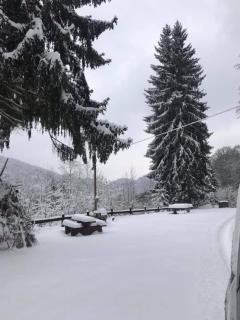 Landhaus Schwarzatal - 4