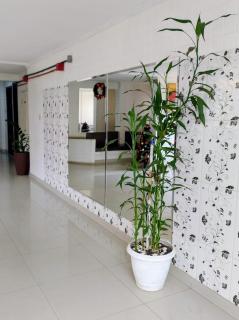 Entire Apartment, 2 Bedrooms - Pantanal Shopping Mall - 5