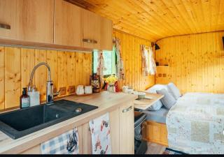 Andělka maringotka - 4