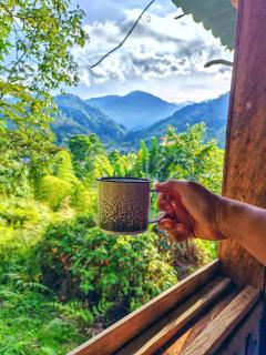 Casa Del Árbol Mirolindo Pijao Quindío - 2