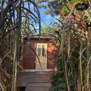 Apartamento con piscina Balenario Argentino - 4