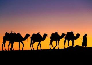 Merzouga Dunes Glamping - Merzouga - 0