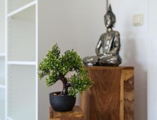 EG R sunny 3-Zimmer City Wohnung nähe Salzburg - 8