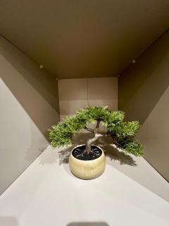 Beautiful Modern 3 Bedroom Home - 9