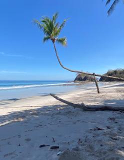 Playa Mantas - 7th Floor - Sea View - Beach Club Access - Balcony - Beach - 6