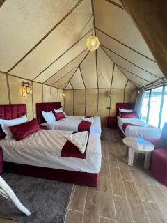Merzouga Sahara Nights Tents - 5