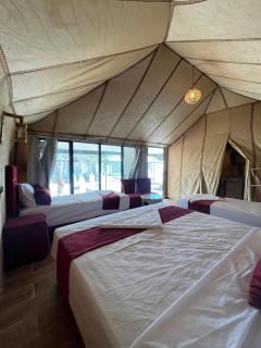 Merzouga Sahara Nights Tents - 3