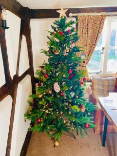 Log- burner, dog friendly- woodland views with walking trails and local pub on your doorstep! Popular walking trails nearby-Malvern Hills and the Brockhampton Estate- Peaceful village on the border of Hereford and Worcester - 7