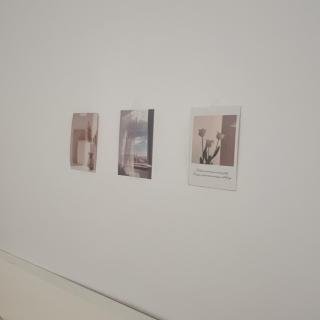 코튼스테이 Cottonstay - 7