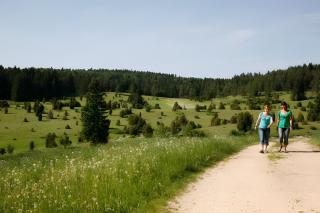 Ferienwohnungen Däubler - 2