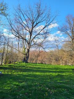 Peaceful Apartment Minutes to Casinos - 4