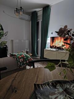 Apartman NIT Banja Koviljača - 0