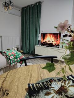 Apartman NIT Banja Koviljača - 7