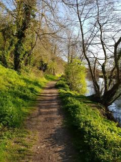 Appart lumineux T3 avec balcon proche centre ville - 8