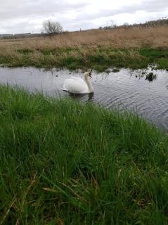 Appart lumineux T3 avec balcon proche centre ville - 2