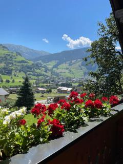 Hartl, Haus - Rauris - 0