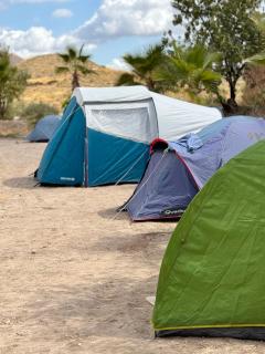 Wellnesscamp Oasis Al Hamam - Actividades incluídas - 2