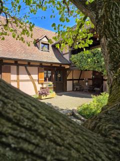 Gîte de charme Alsacien près de Colmar - 7