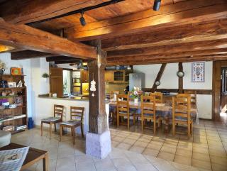 Maison 12 personnes PMR en Alsace à Jebsheim Jardin, animaux acceptés, proche Colmar - 3