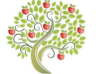 Studio - Le Clos Des Pommiers - 1