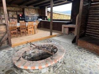 Cabana Colibita malul lacului - 8