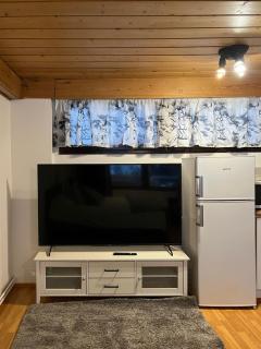 Traditional Lapland Studio Peaceful and Simple - 3