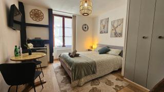 Le Remède - Studio calme hyper-centre Orléans - 0