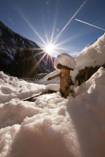 Alpenchalet Rauris - 4