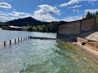 Cabana Colibita malul lacului - 2