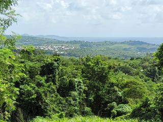 Les terrasses de Maëlle II - Rivière-Salée - 3