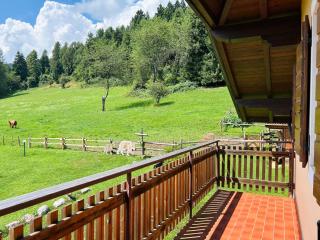 Albaredo Wood Terasse - 8