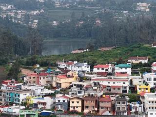 Stay Awhile Cottages - 6